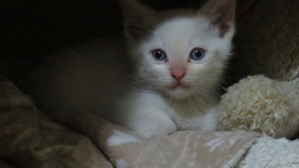 Photograph by GERMÁN DÍAZ