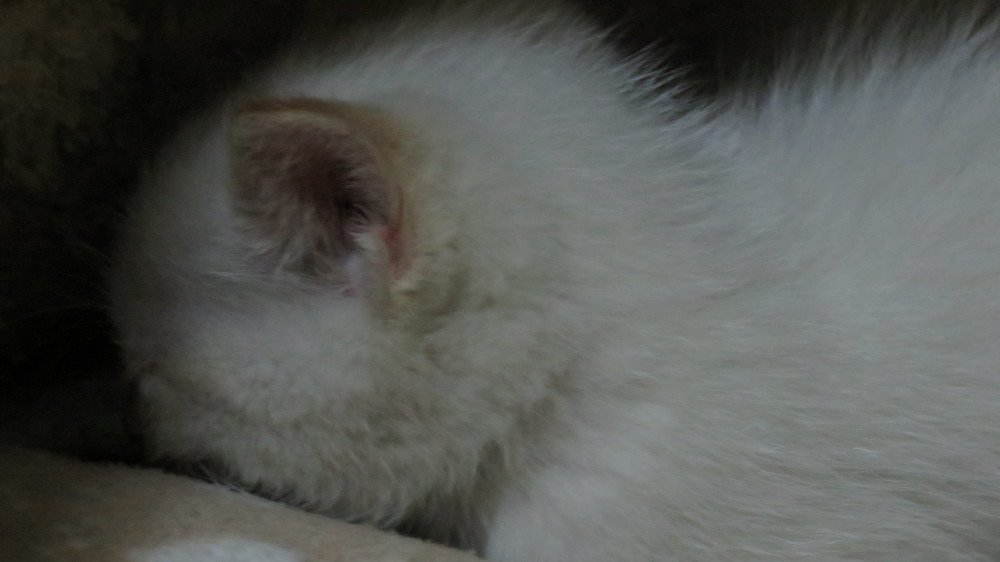 Photograph by GERMÁN DÍAZ