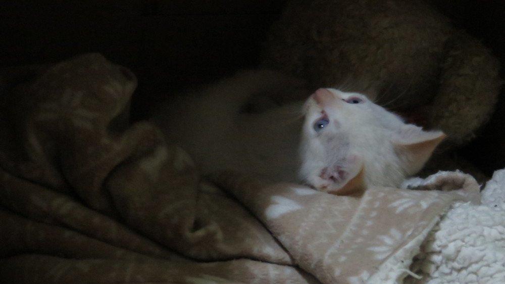 Photograph by GERMÁN DÍAZ