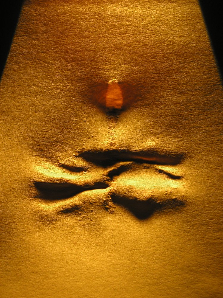 Photograph by Дмитрий Антипов