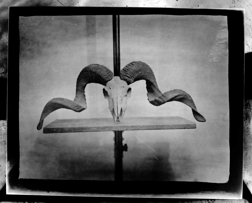 Photograph by Jesus Tenorio S