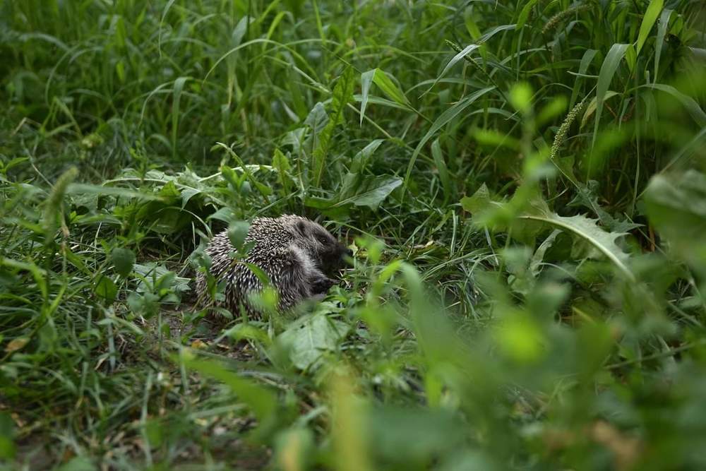 Photograph by Сергей Вантурин