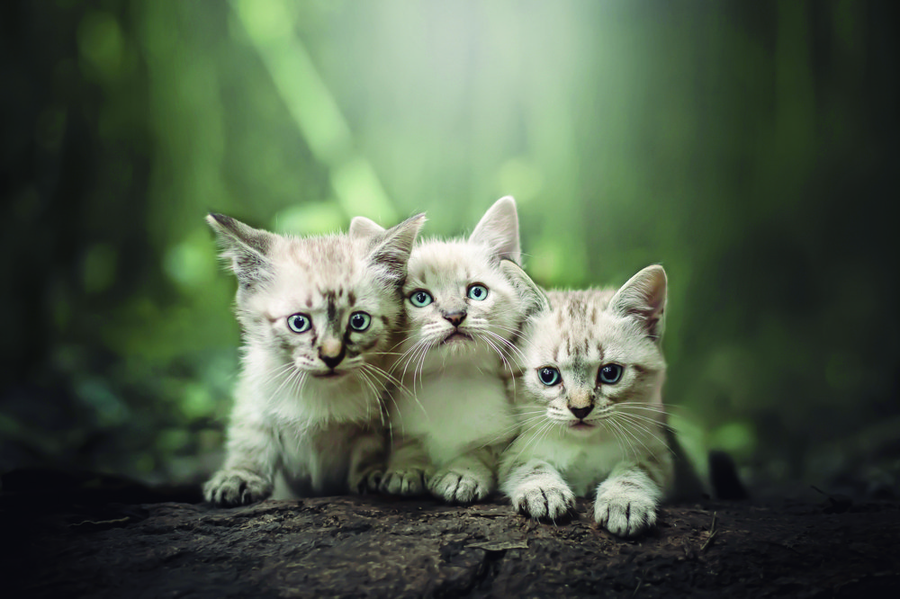 Photograph by Mykaella Carbonera