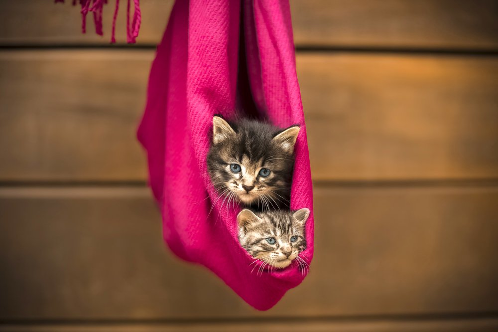 Photograph by Mykaella Carbonera