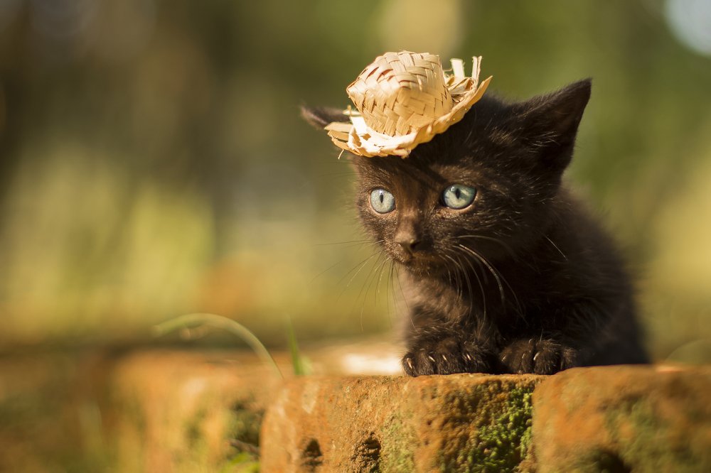 Photograph by Mykaella Carbonera