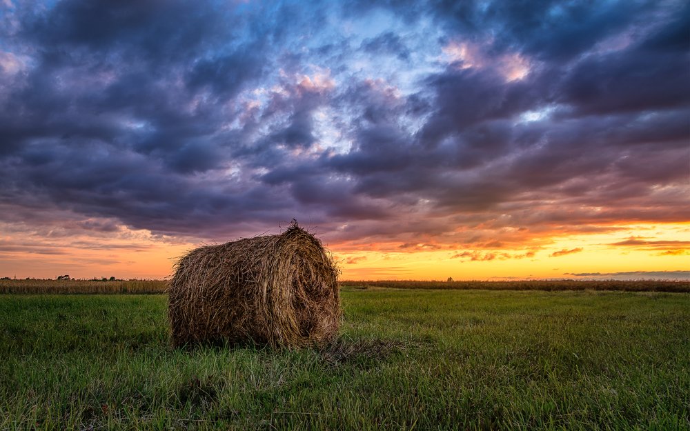 Photograph by Valdemaras Mockus