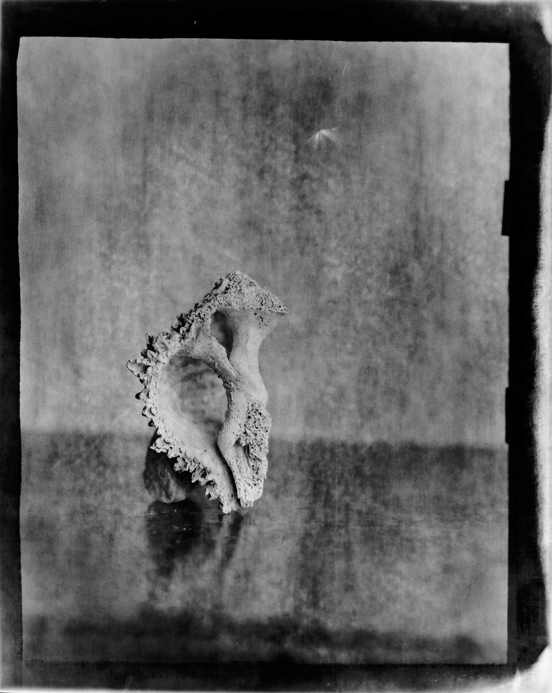 Photograph by Jesus Tenorio S