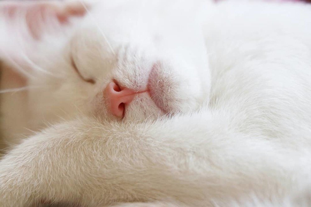 Photograph by Марина Гильмиярова