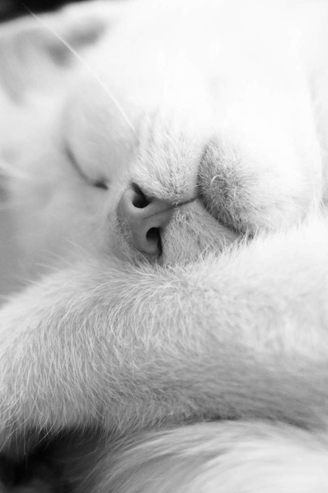 Photograph by Марина Гильмиярова