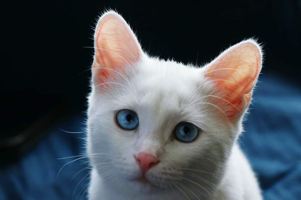 Photograph by Марина Гильмиярова