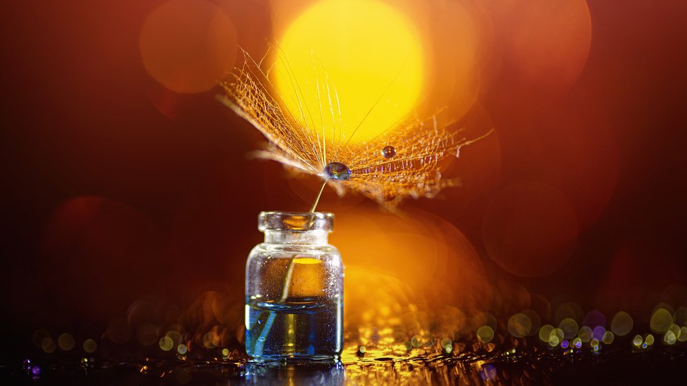 Фотография автора Андрей Сосновский