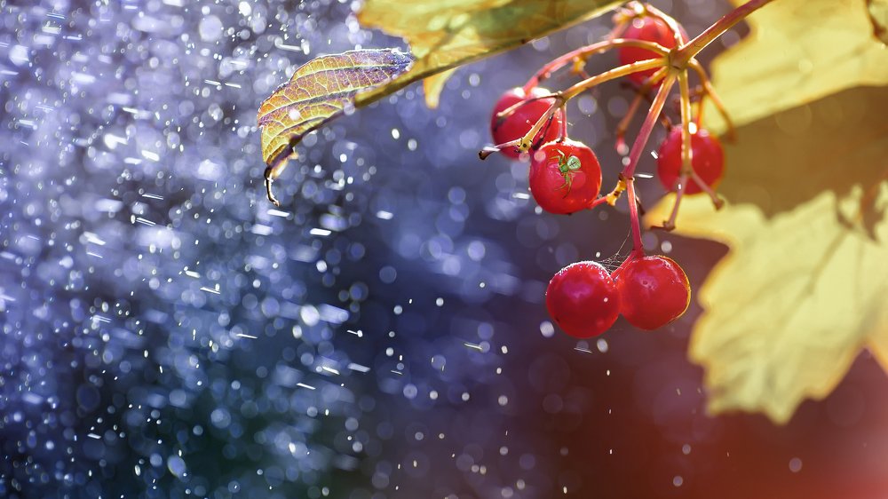 Фотография автора Андрей Сосновский