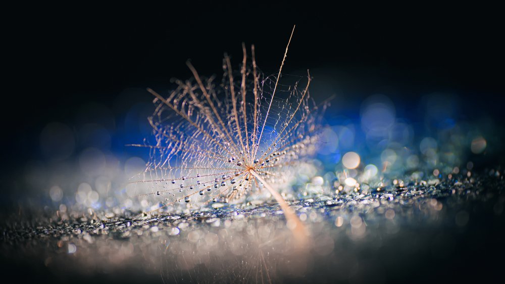 Фотография автора Андрей Сосновский