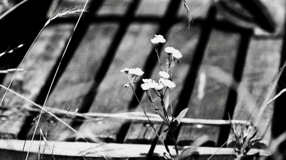 Photograph by Inoue Tomohiro