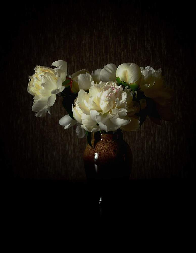 Photograph by Михаил Логвиненко