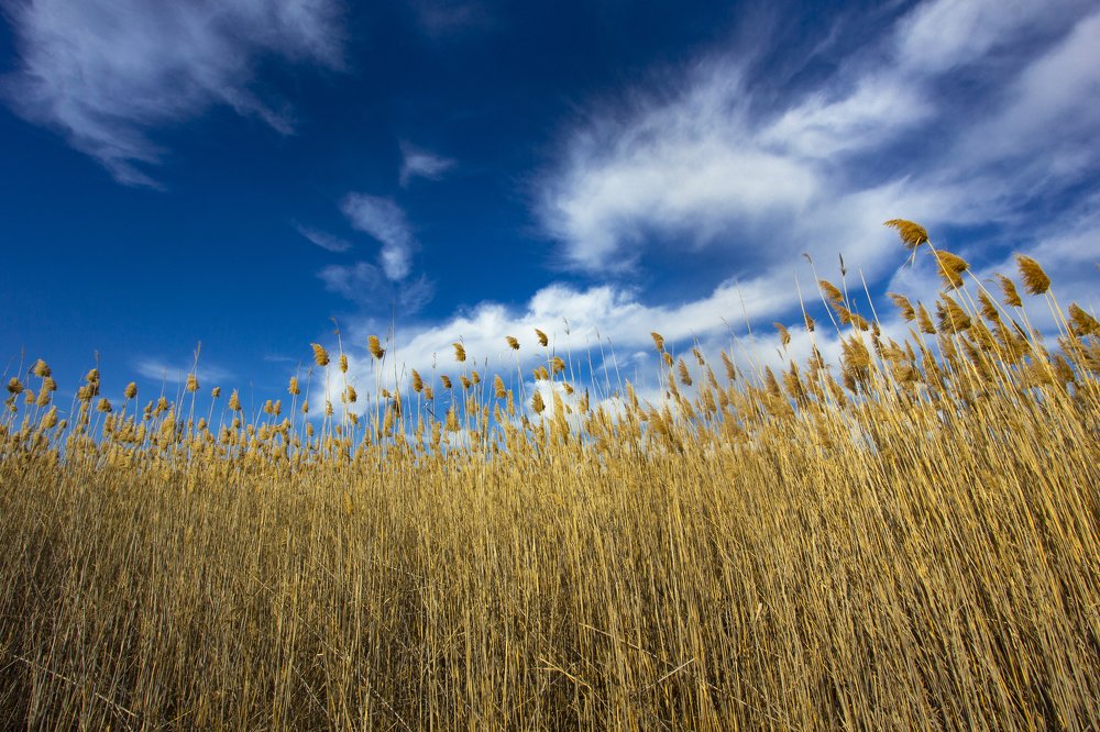 Photograph by Расул Муртазалиев