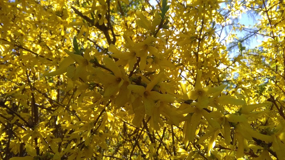 Photograph by Наталина Князева