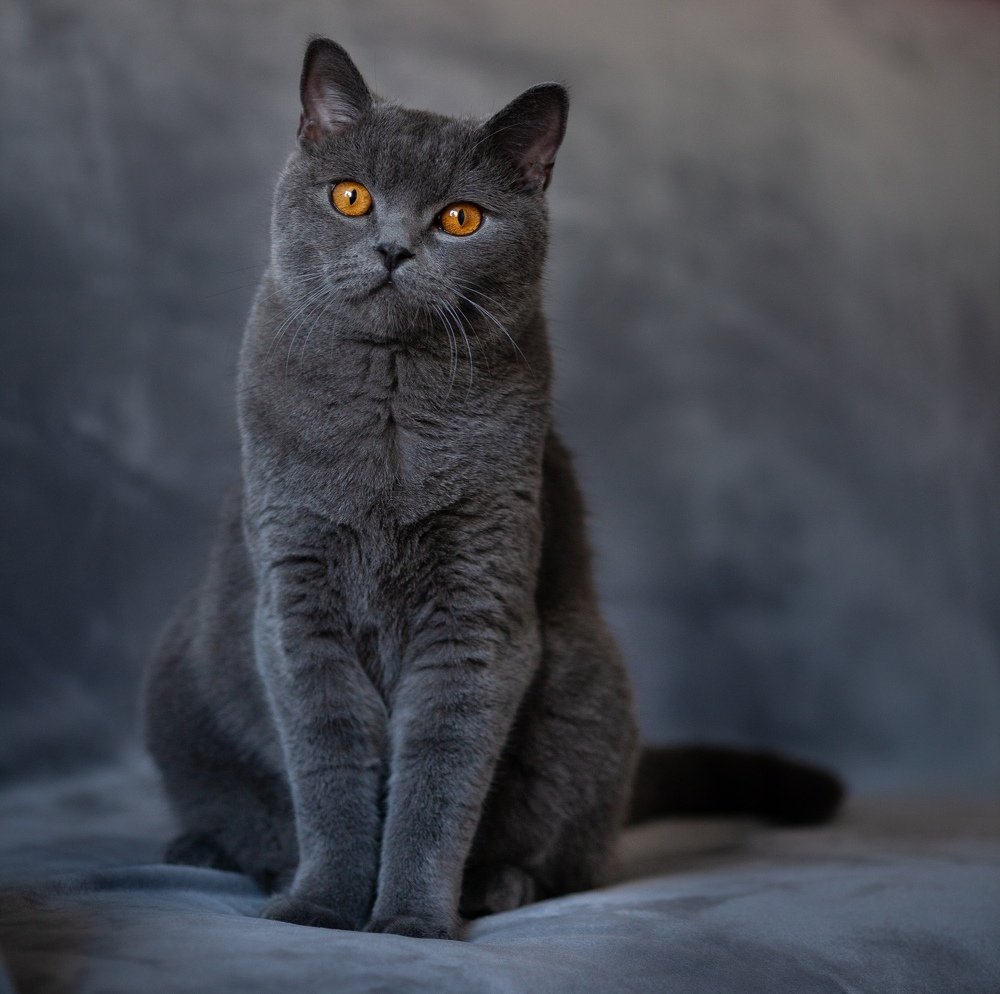 Photograph by Дмитрий Куц