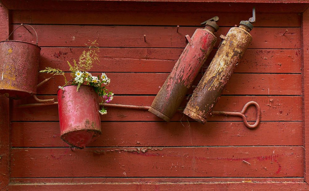 Photograph by Елена Мормоль