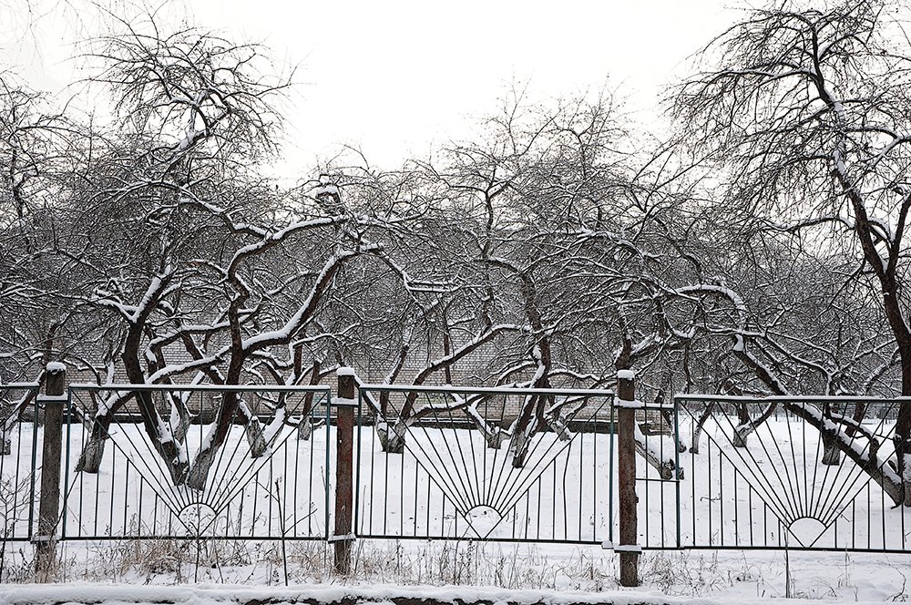 Photograph by Анатолий Смирнов
