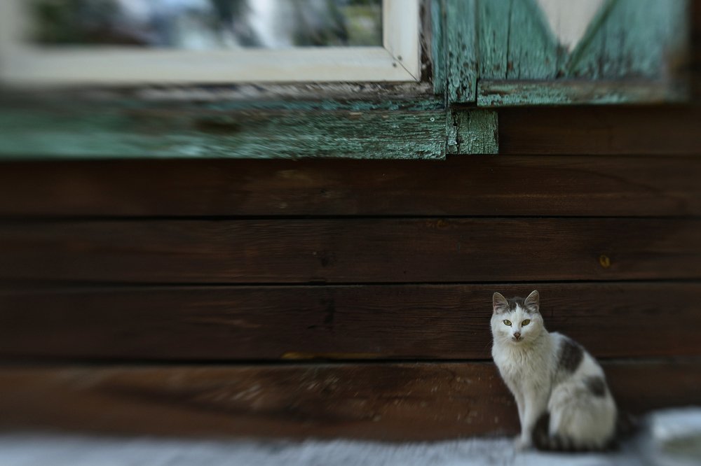 Photograph by Tatyana