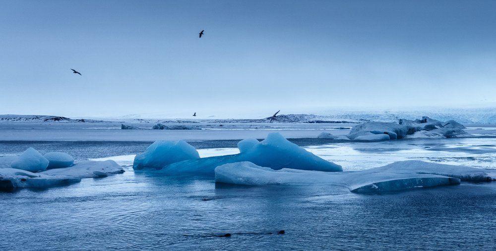 Photograph by Alfia Safuanova