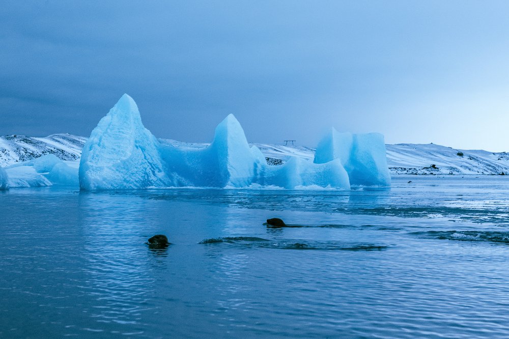 Photograph by Alfia Safuanova