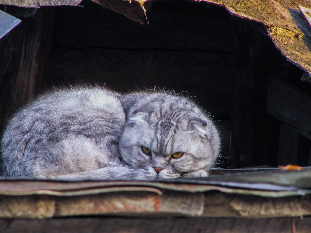 Photograph by Андрей