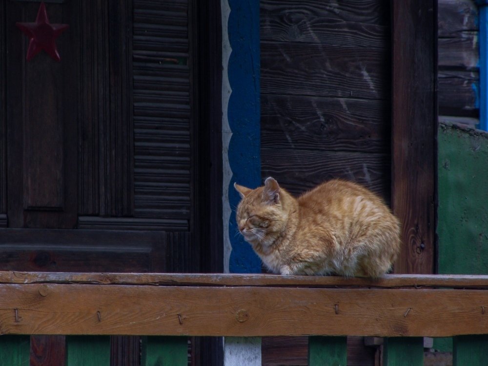 Photograph by Андрей