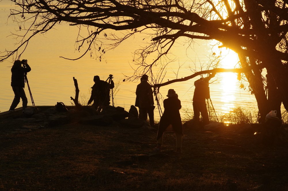 Photograph by Inoue Tomohiro