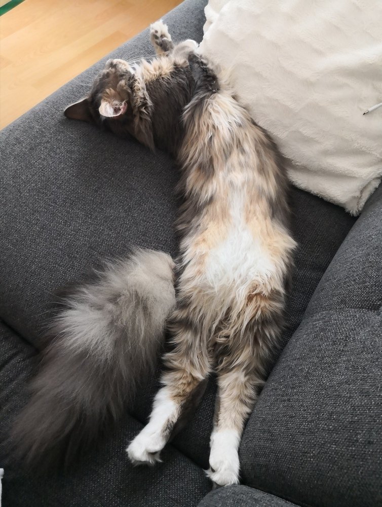 Photo #3517781