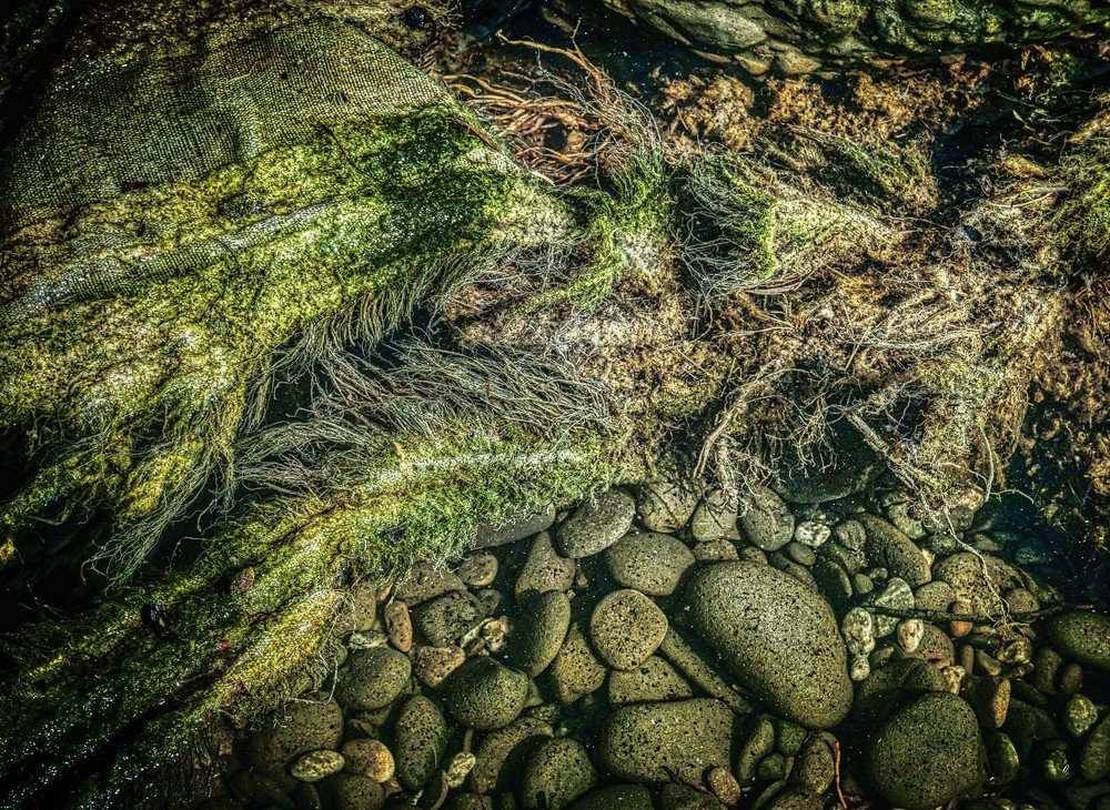 Photograph by Владимир Ачинцев