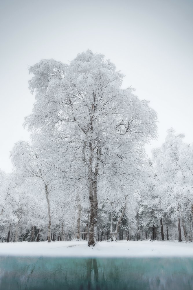 Photograph by Татьяна Беркович