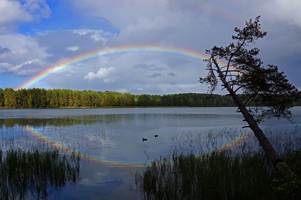 Око Селигера...
