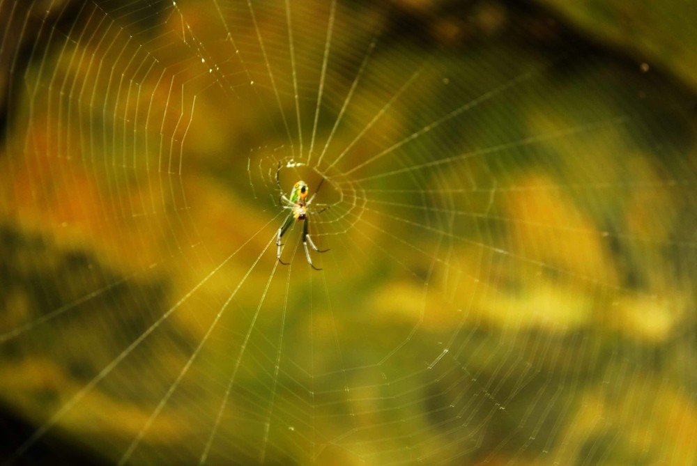 Photograph by Abner Azael