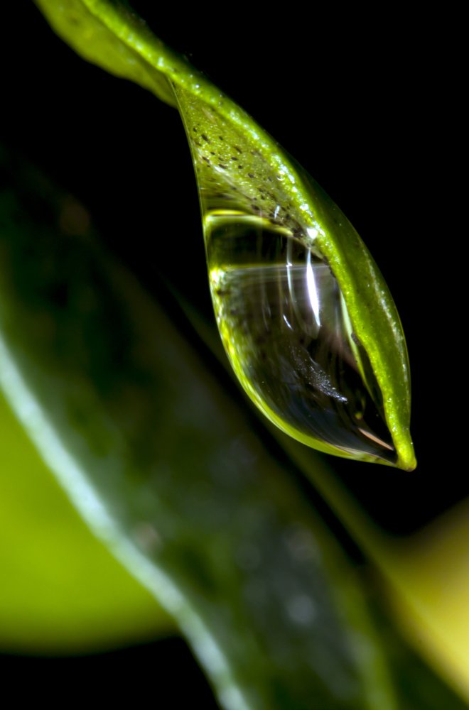 Photograph by salvatore Mercieca