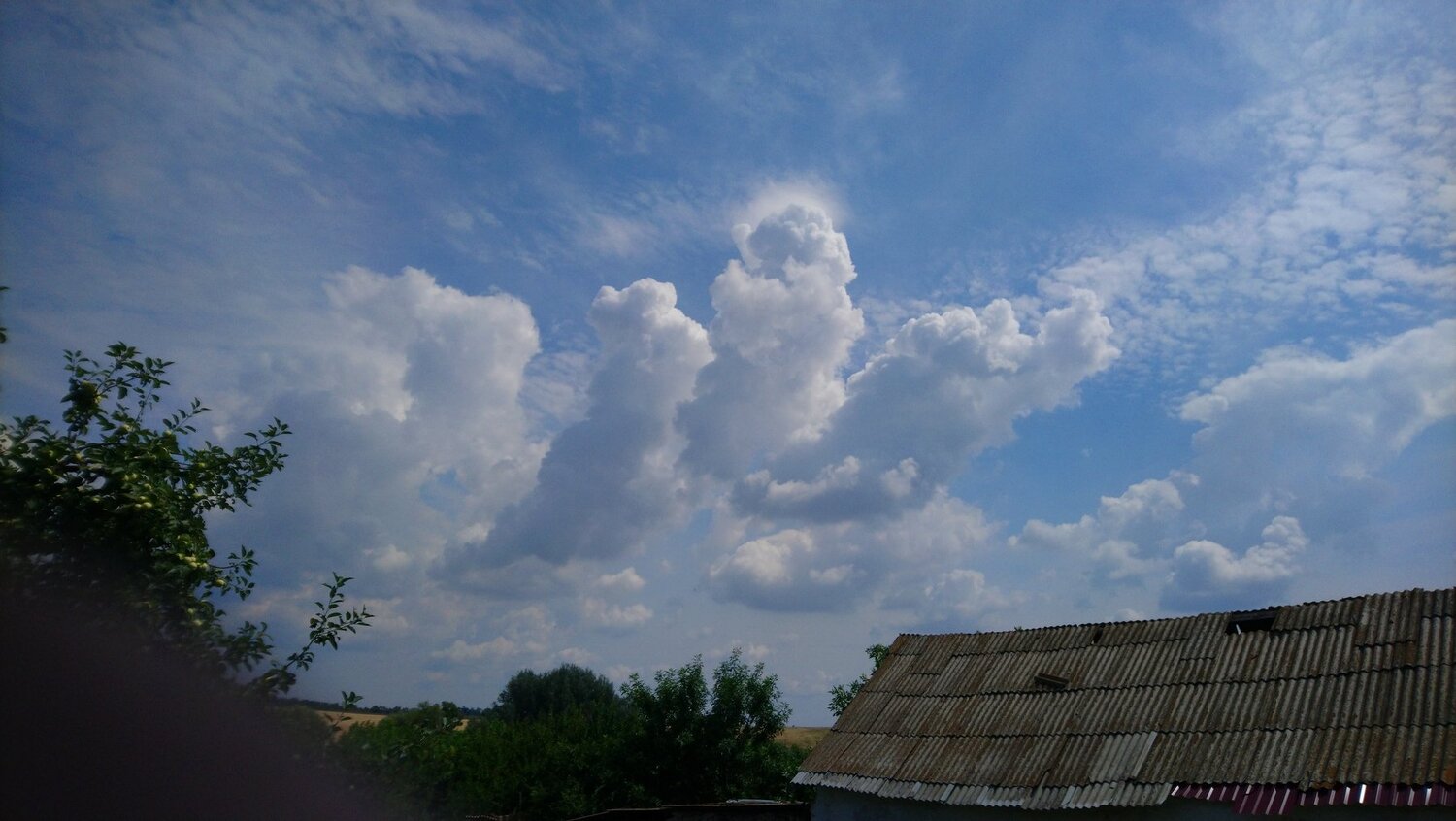 Photo #3517983