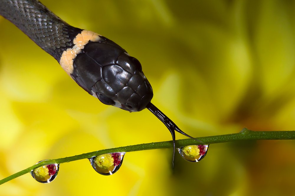 Photograph by Алексей Козлов