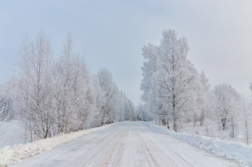 Photograph by Roman Dmitriev