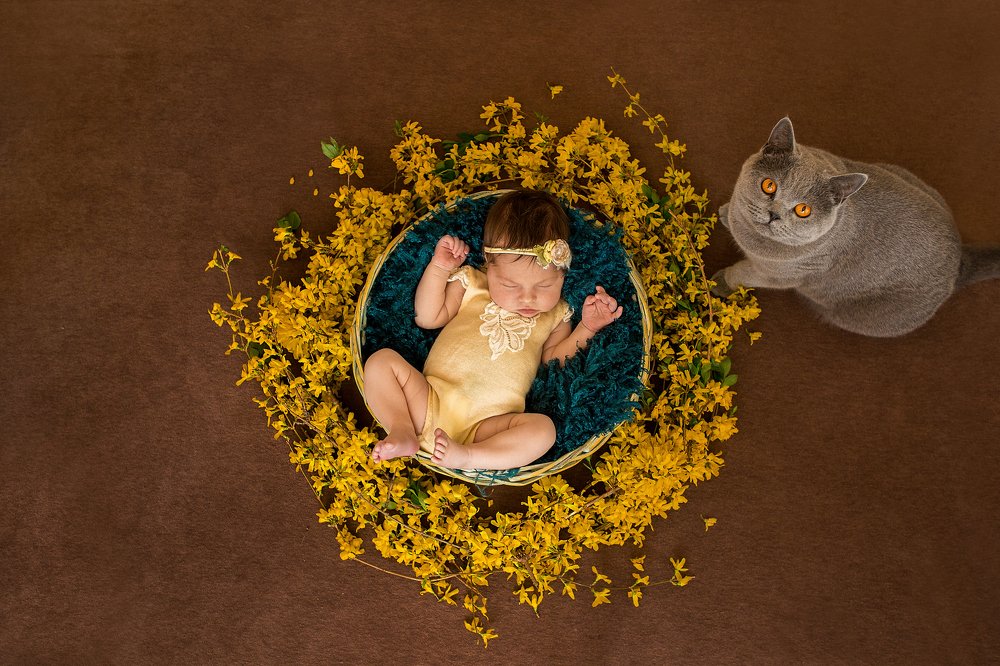 Photograph by Юлия Воловик