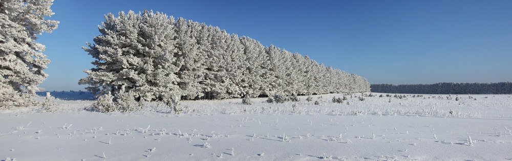 Photograph by Александр Лапшин