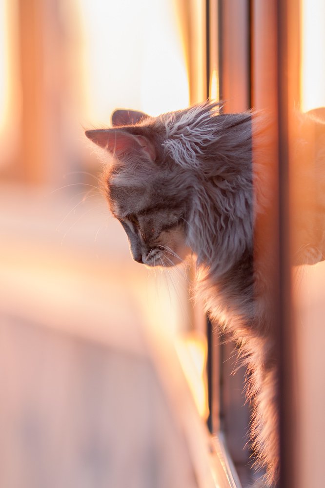 Мир из окна..