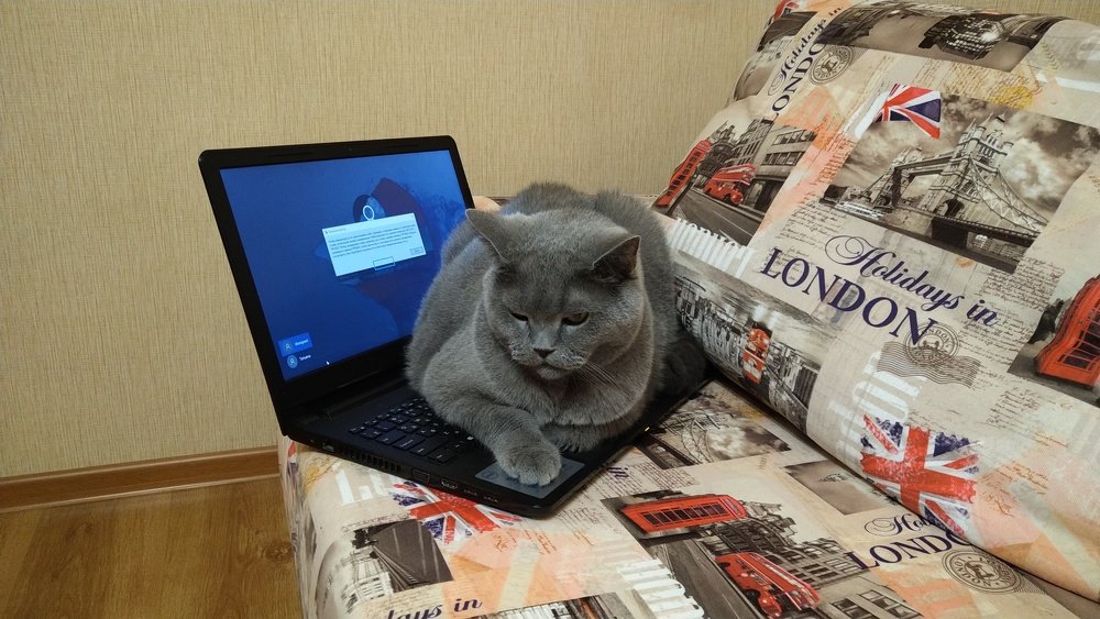 Photograph by Alexandr