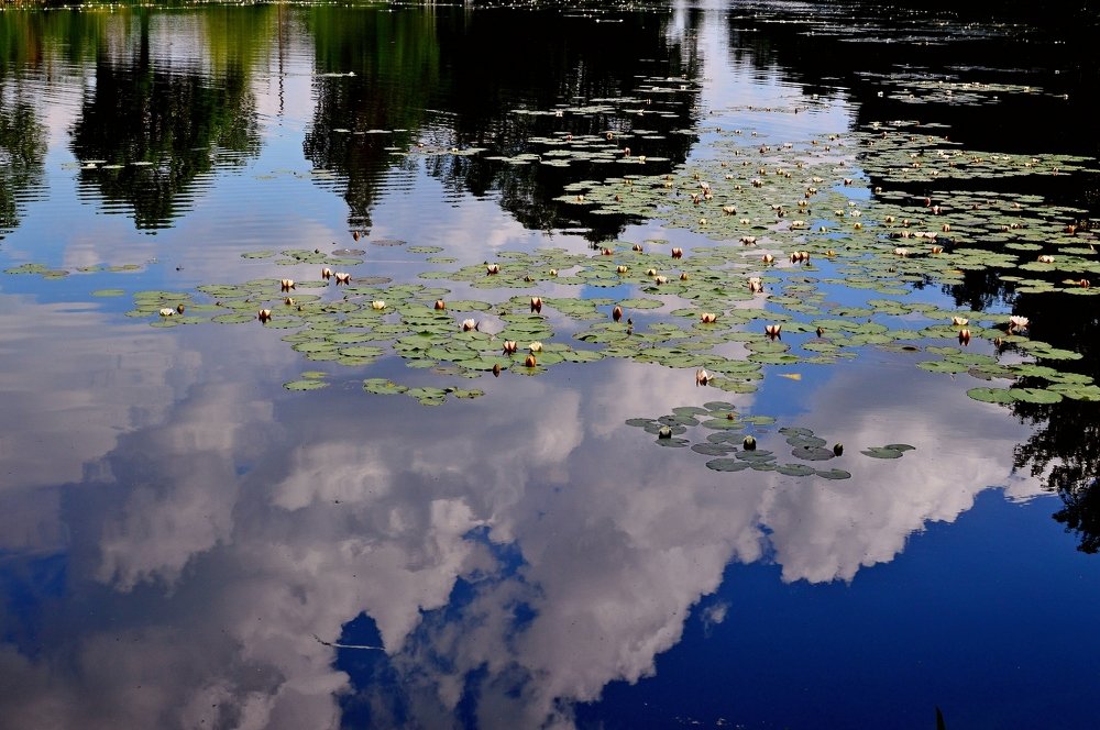 Photograph by Алексей