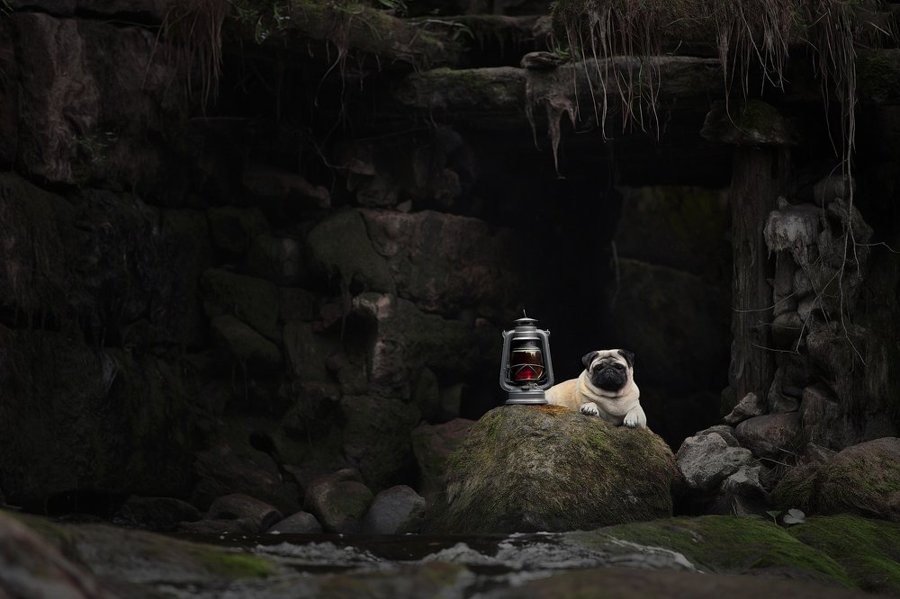 Photograph by Лана Полякова