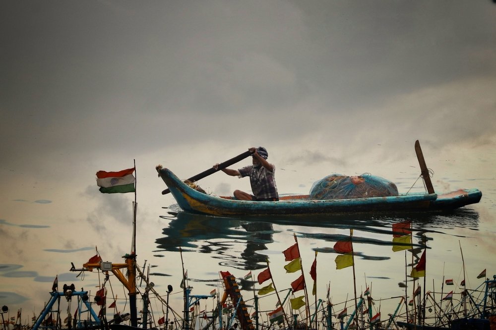 Photograph by Sri Loganathan Velmurugan
