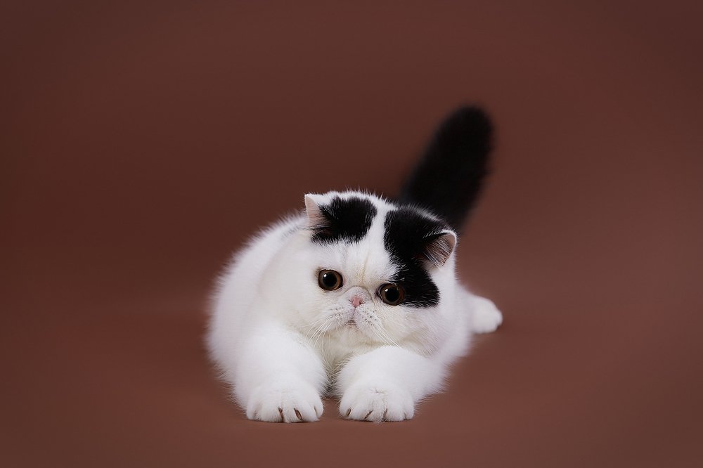 Photograph by Лана Полякова