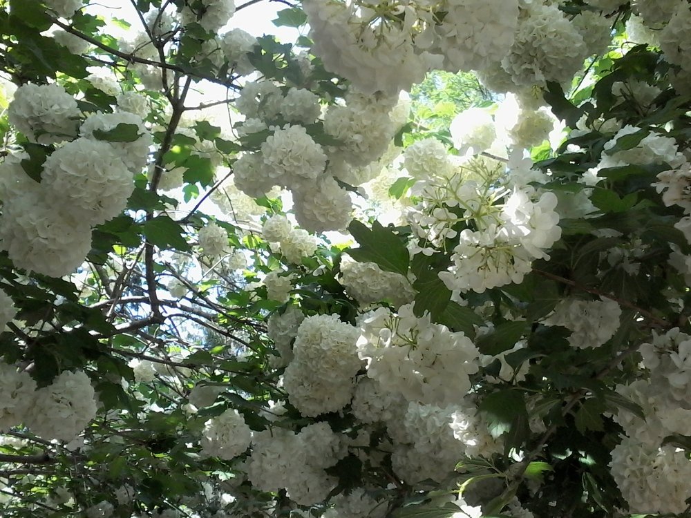 Photograph by Людмила Ковалевская