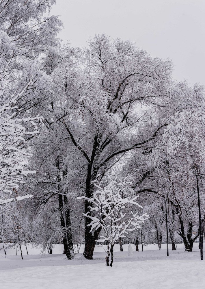 Photograph by Дмитрий Жижин