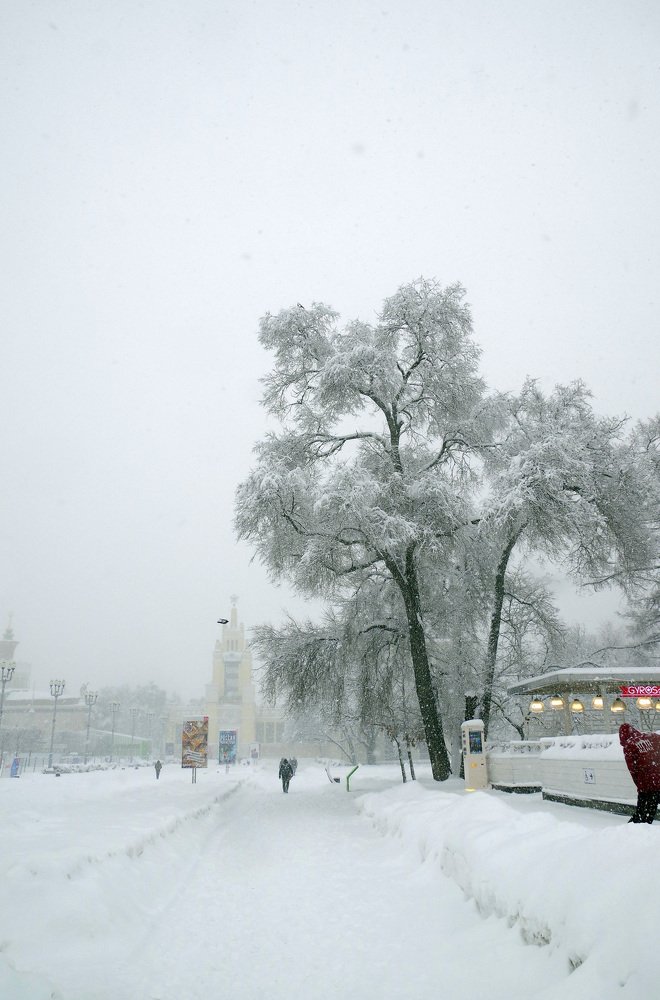 Photograph by Михаил Обертаев